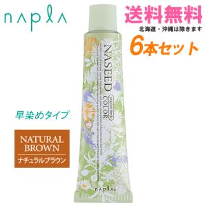 NASEED ナプラ ナシードカラー グレイファッション N-6NB ナチュラル