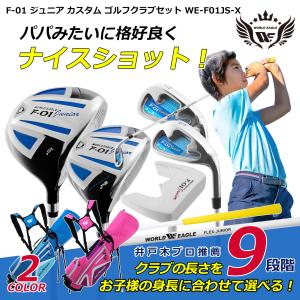 IGNIO（イグニオ） クラブセット お手軽セットジュニア 9〜11才用 身長