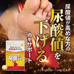 ☆新品 スリムビューティハウス エンザイム フローラ 発酵 エステ