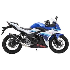 GSX Realize GSX250R バイクマフラー 2BK-DN11A 8BK-DN12B 2017年