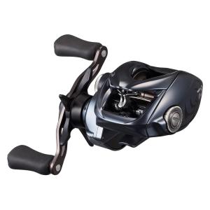 DAIWA（ダイワ） 25 タトゥーラ TW 200H ベイトリール (2025年 新製品