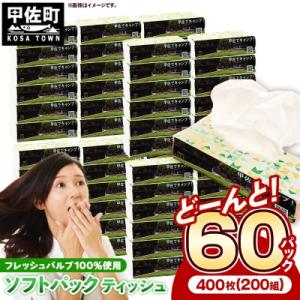 ふるさと納税 甲佐町 ティッシュペーパーソフトパック 400枚(200組)60