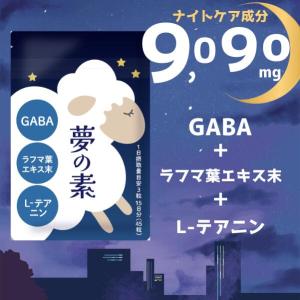 公式ショップ 正規品 5袋セット ボディマスター BODYMASTER HMB NMN