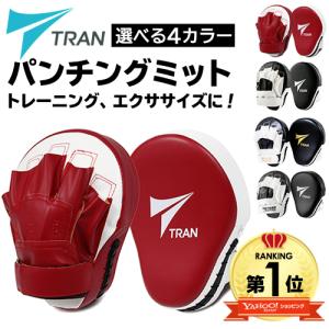 ウィンディ パンチングミット 湾曲タイプ（左右ペア） WINDY