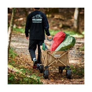 Coleman コールマンナチュラルディッシュプレート FF15 2枚セット