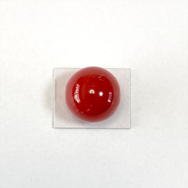 タ*キ様 天然赤珊瑚 枝ルース 約10cm 高知県産 #ー02 天然赤珊瑚 枝