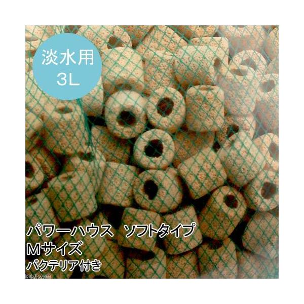 パワーハウスソフトタイプ M」の人気商品一覧 | 安い商品を通販サイト