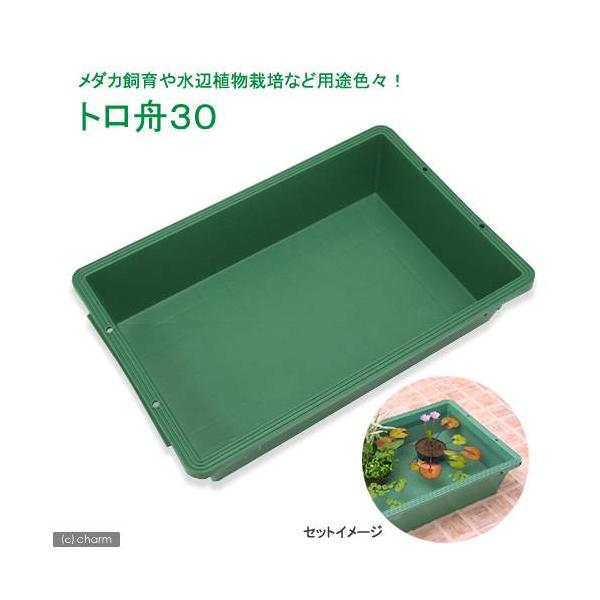 トロ舟 水槽」の人気商品一覧 | 安い商品を通販サイトから探す - 価格.com