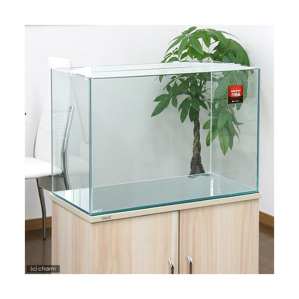 ガラス水槽 60cm」の人気商品一覧 | 安い商品を通販サイトから探す