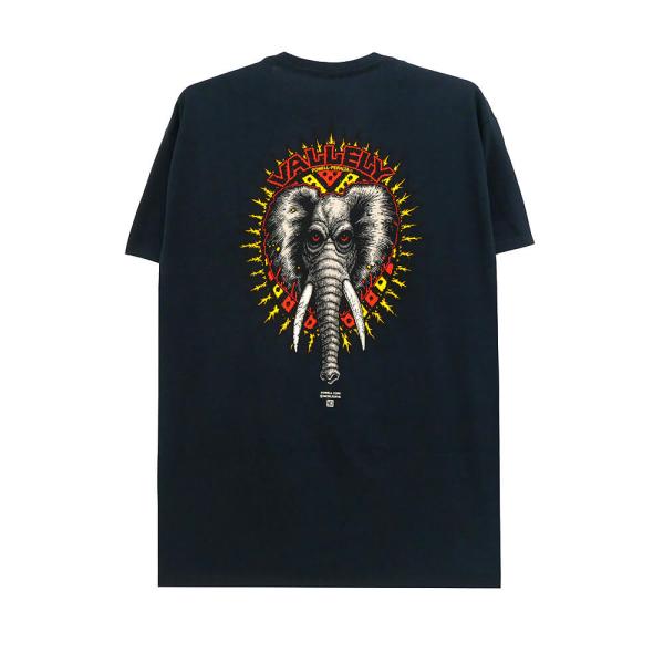 POWELL PERALTA T-SHIRT パウエルペラルタ Tシャツ MIKE VALLELY