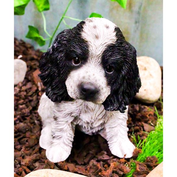 bezipang_wl-209613219