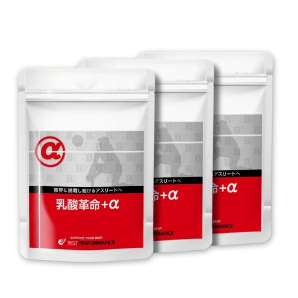 コエンザイムQ10 アルファリポ酸 ビタミンB群 サプリメント タブレット