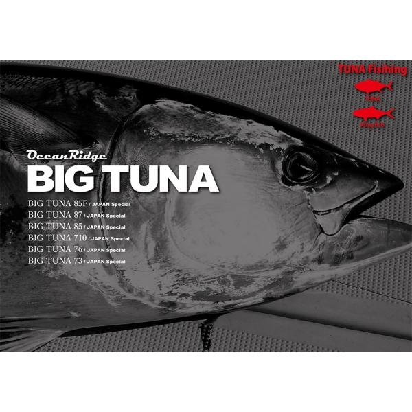 リップルフィッシャー ビッグツナ 85F】RippleFisher BIG TUNA 85F