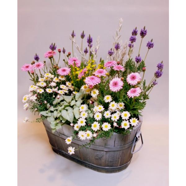 寄せ植え 春の寄せ植え お誕生日プレゼント 春の花 がいっぱい 木製