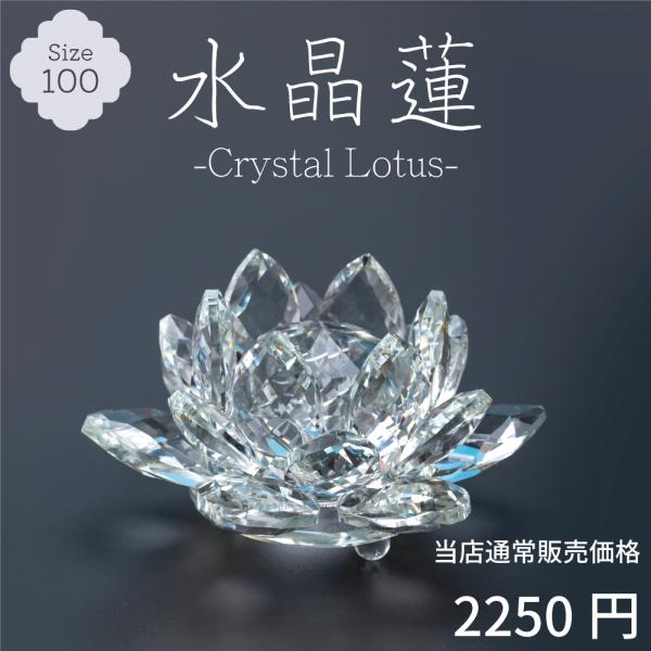 kaidokukan_cr-ren100