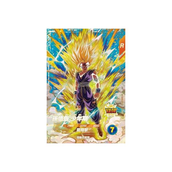 ドラゴンボールスーパーダイバーズ SDV5-076 GDR 孫悟飯：少年期 【5弾