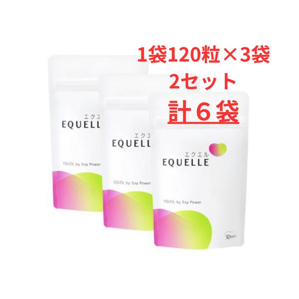 エクエル 120粒入 パウチ 6個セット エクオール 大塚製薬 EQUELLE