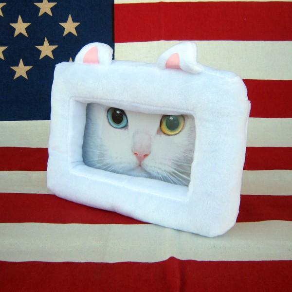 レターパックプラス対応 にゃんにゃんフレーム シロネコ フォト