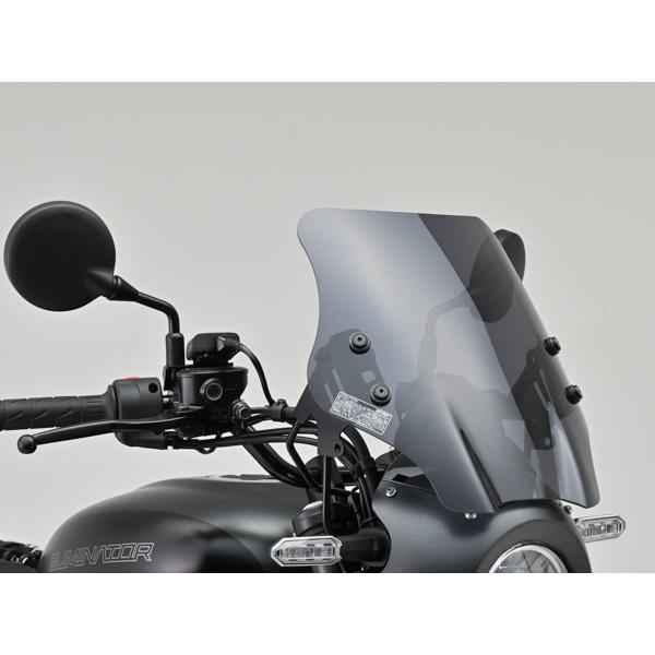 カワサキ エリミネーターSE('24)専用 Daytona バイク用 スクリーン