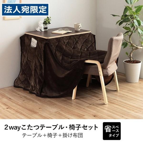 イケヒコ 『代引不可』イケヒコ バイデ 2WAY こたつセット 省