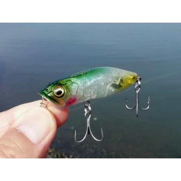 Megabass（メガバス） SWING HOT 水砲 スイホウ クロダイポッパー