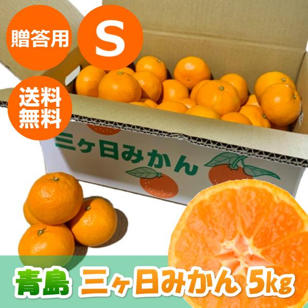 三ケ日みかん贈答用青島Sサイズ（5kg） : 三ケ日みかん - 通販 - Yahoo