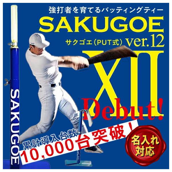 MIZUNO（ミズノ） [即日出荷][メーカー直送品]ハング (HANG) 硬式野球