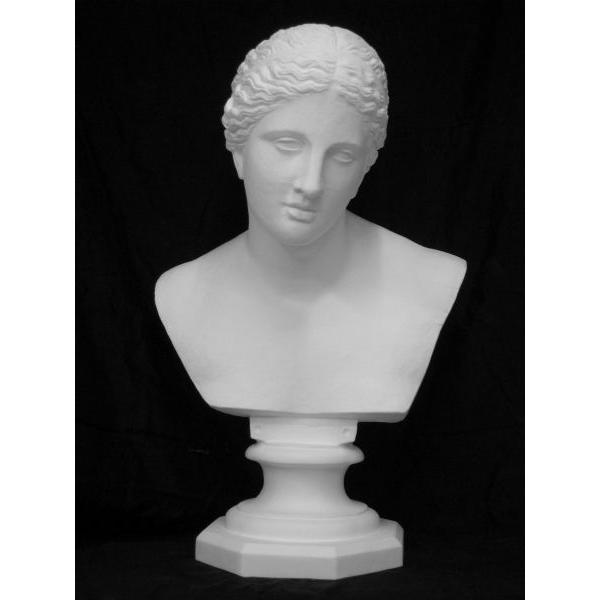 K−128 ギリシャヴィーナス胸像（クニドスのヴィーナス） : 石膏像