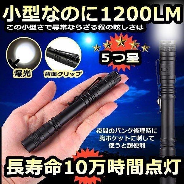 LED ライト 小型 ミニ 懐中電灯 2本 ハンディ ペンライト 全長 13cm