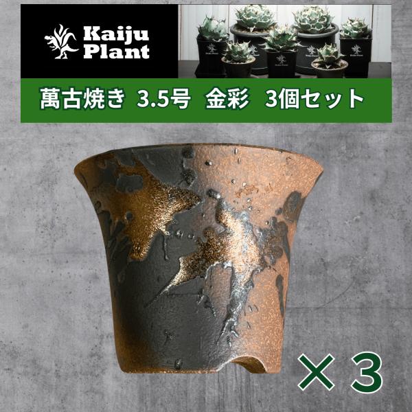 Kaiju Plant 萬古焼 3.5号 陶器鉢 ラッパ アガベ 多肉 塊根 用 金彩 3