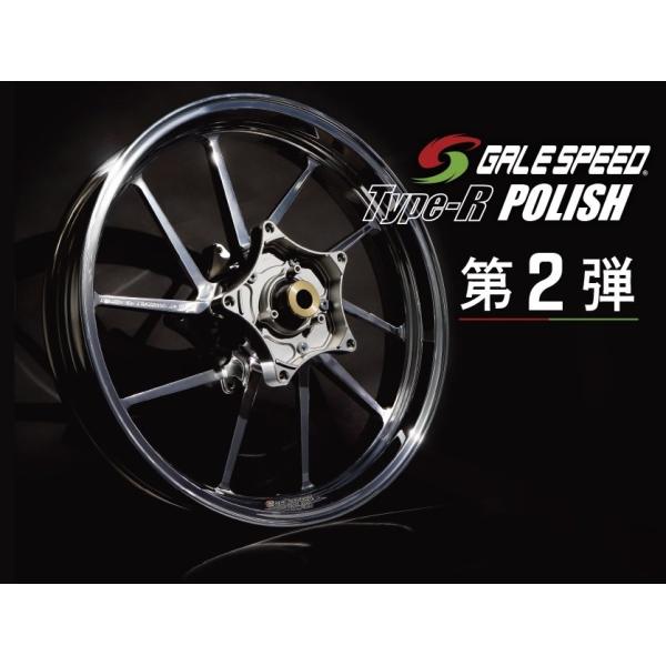 GALE SPEED（ゲイルスピード） 【限定品】【TYPE-R 前後セット