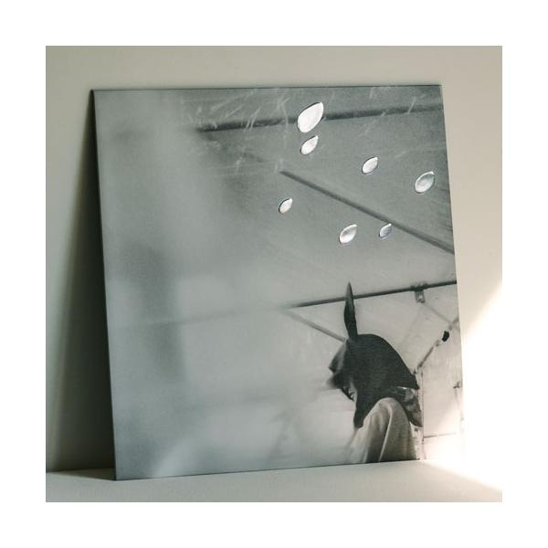 小沢健二 日比谷野音の小沢健二 オフィシャル海賊盤 LP