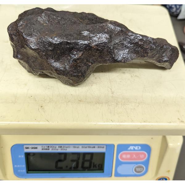 ギベオン原石 【大】 2.38kg 完全体 Gibeon meteorite 鉄隕石 : 宇宙村