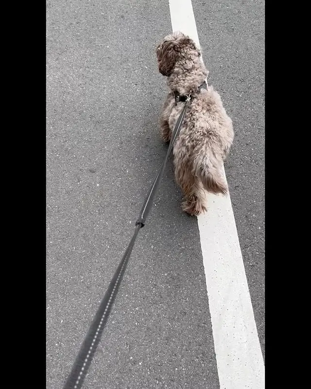 木村拓哉 (SMAP キムタク)の私服 襟元や袖がグリーンのブルゾン