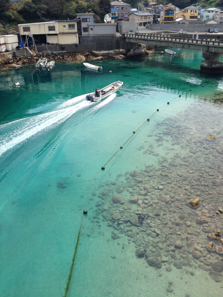 高知】日本とは思えないクリアブルーの海が広がる「柏島」