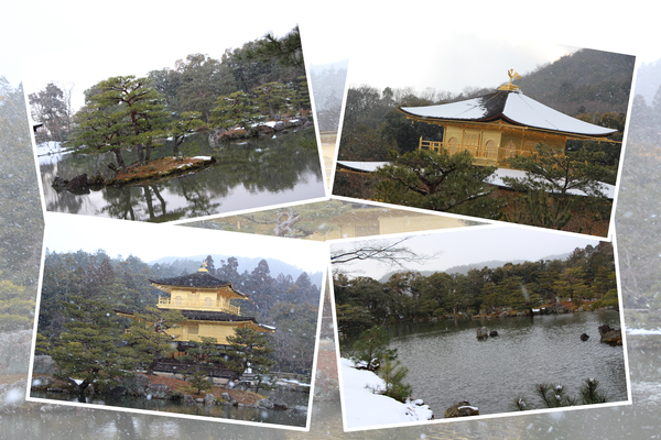 冬・積雪期の金閣寺「舎利殿（金閣）と鏡湖池」/癒し憩い画像