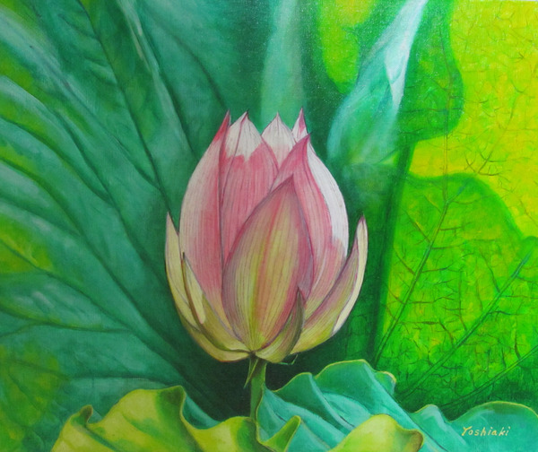 蓮の花」 by 野沢嘉昭｜Artmeter｜暮らしを彩るアートが、きっと見つかる