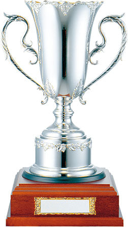 V-Shikaならではの匠の技術 Pine Silver – JAPAN TROPHY