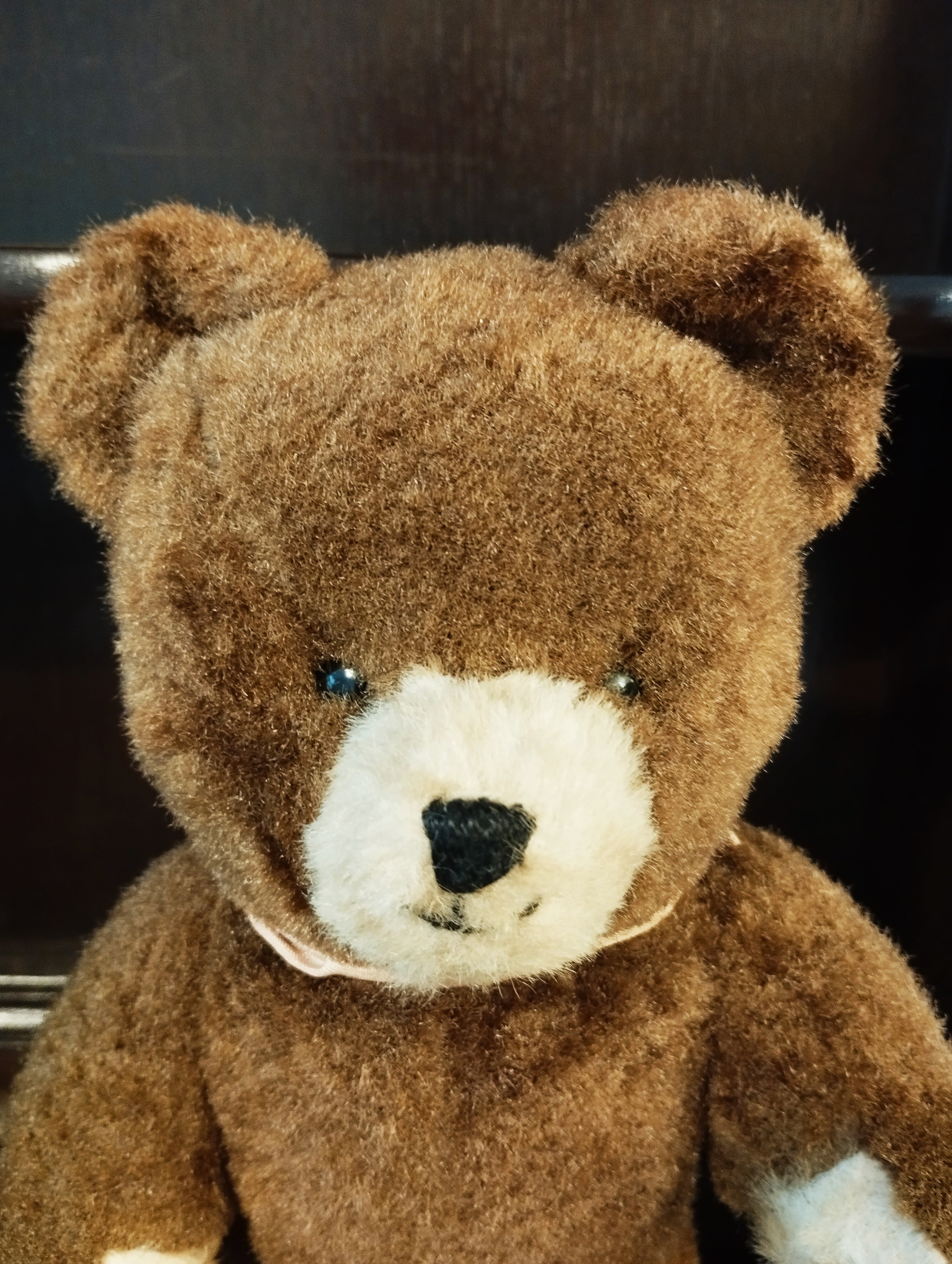 ティディベア – jewelry-marche-fr