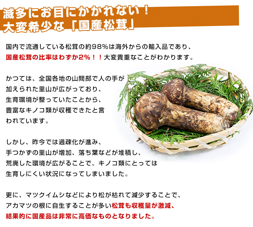 国産松茸（開き）400g前後（1本から3本前後）送料無料 クール便