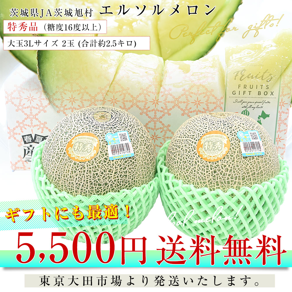 茨城県産 JA茨城旭村 エルソルメロン 特秀品 大玉3Lサイズ 2玉（合計約