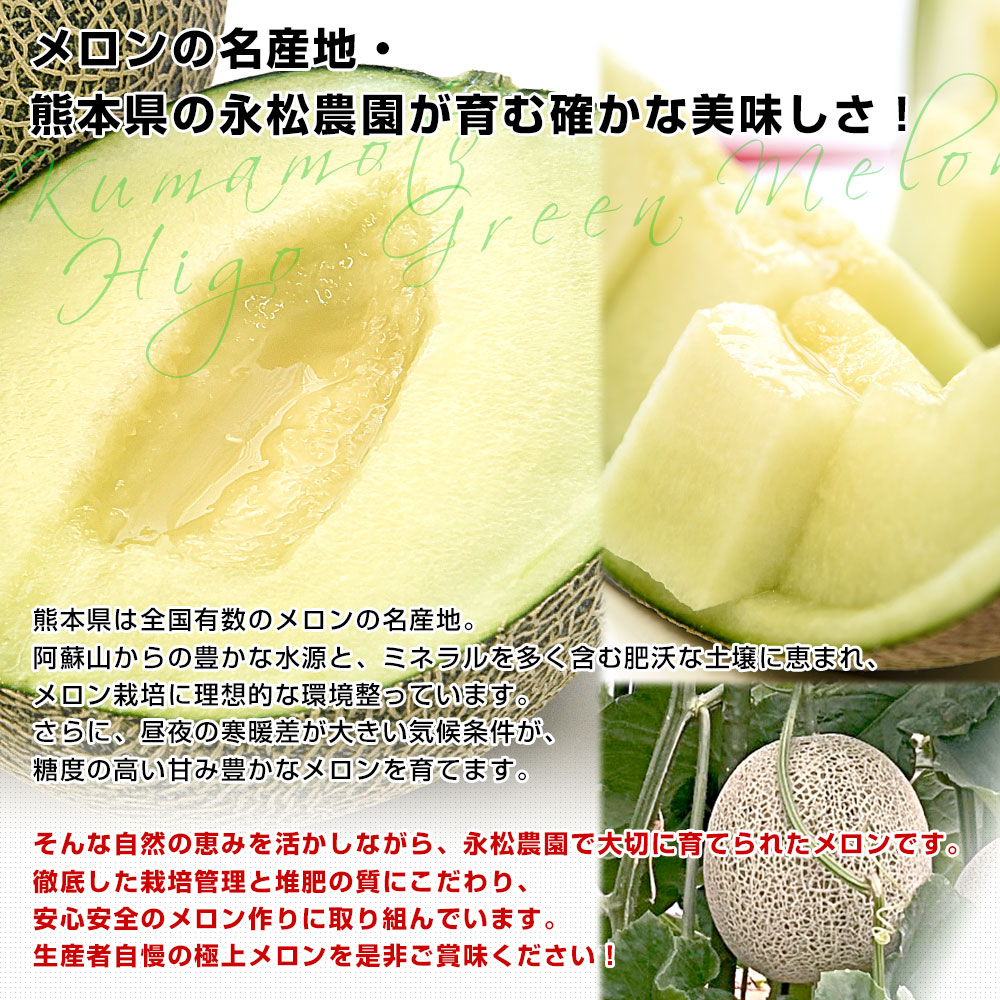 熊本県より産地直送 永松農園 肥後グリーンメロン 秀品 大玉4Lサイズ