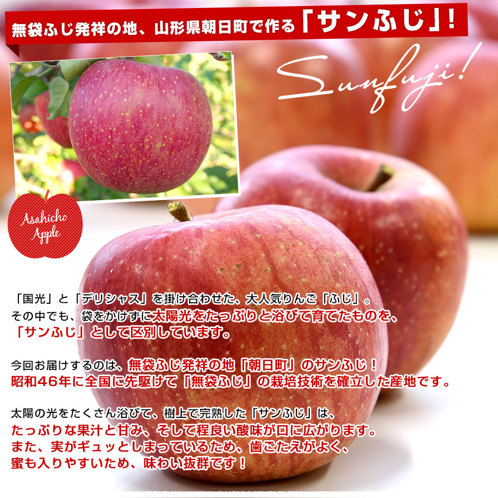 山形県産 JAさがえ西村山 朝日町のサンふじ 約3キロ (10玉から14玉