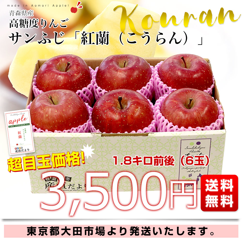 青森県産 高糖度りんご サンふじ 「紅蘭（こうらん）」 1.8キロ前後 (6