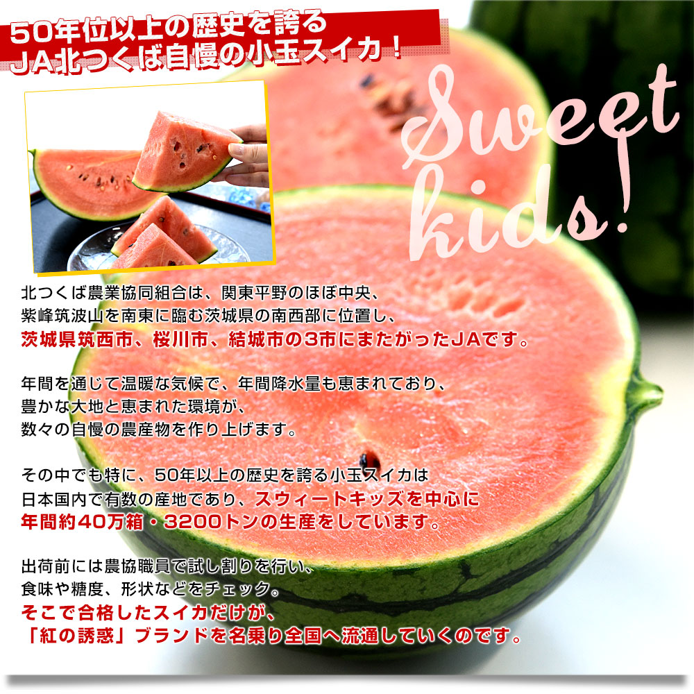 茨城県 JA北つくば 紅の誘惑 小玉スイカ 「スウィートキッズ」 良品