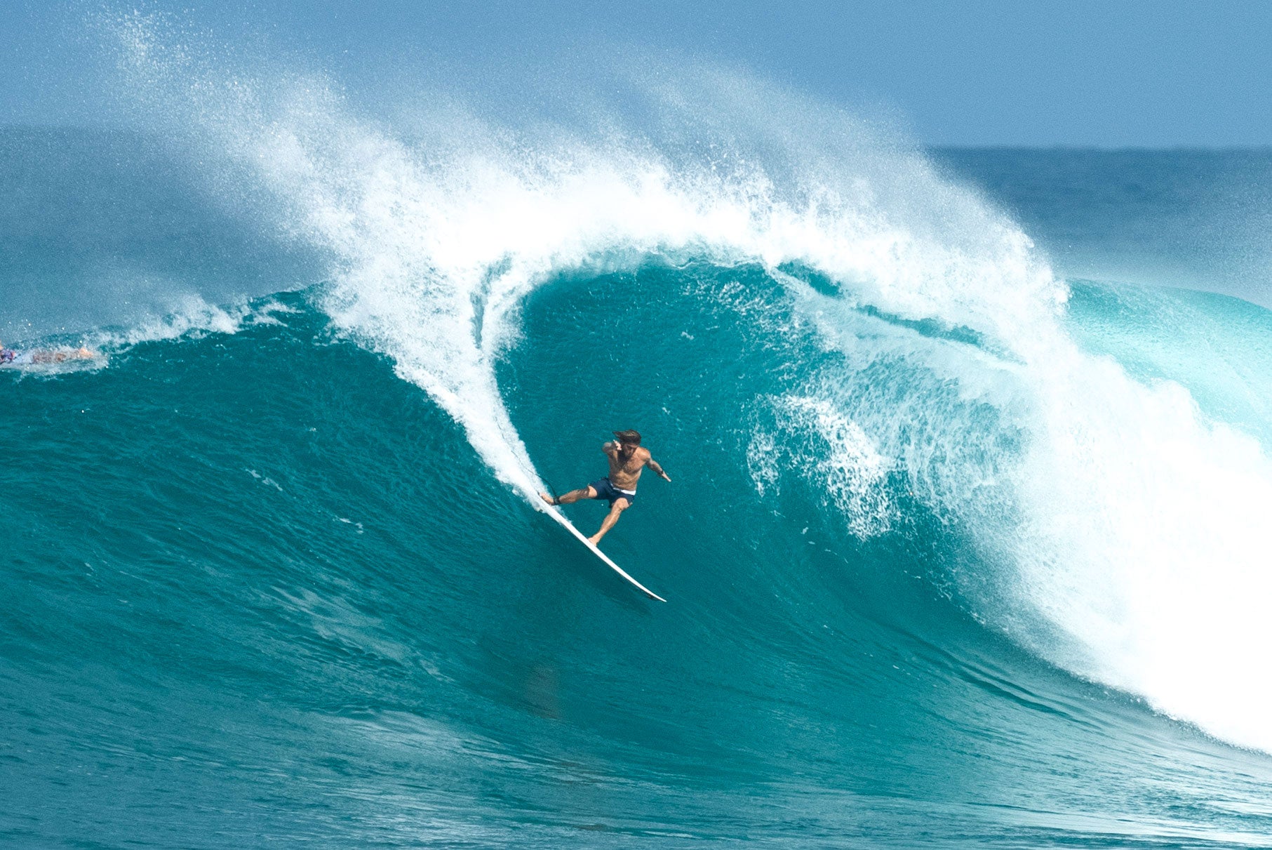 Forget Me Not II Step Up – JS Industries Australia