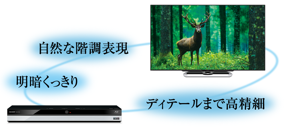 BD-UT1100 | AQUOSブルーレイ：シャープ