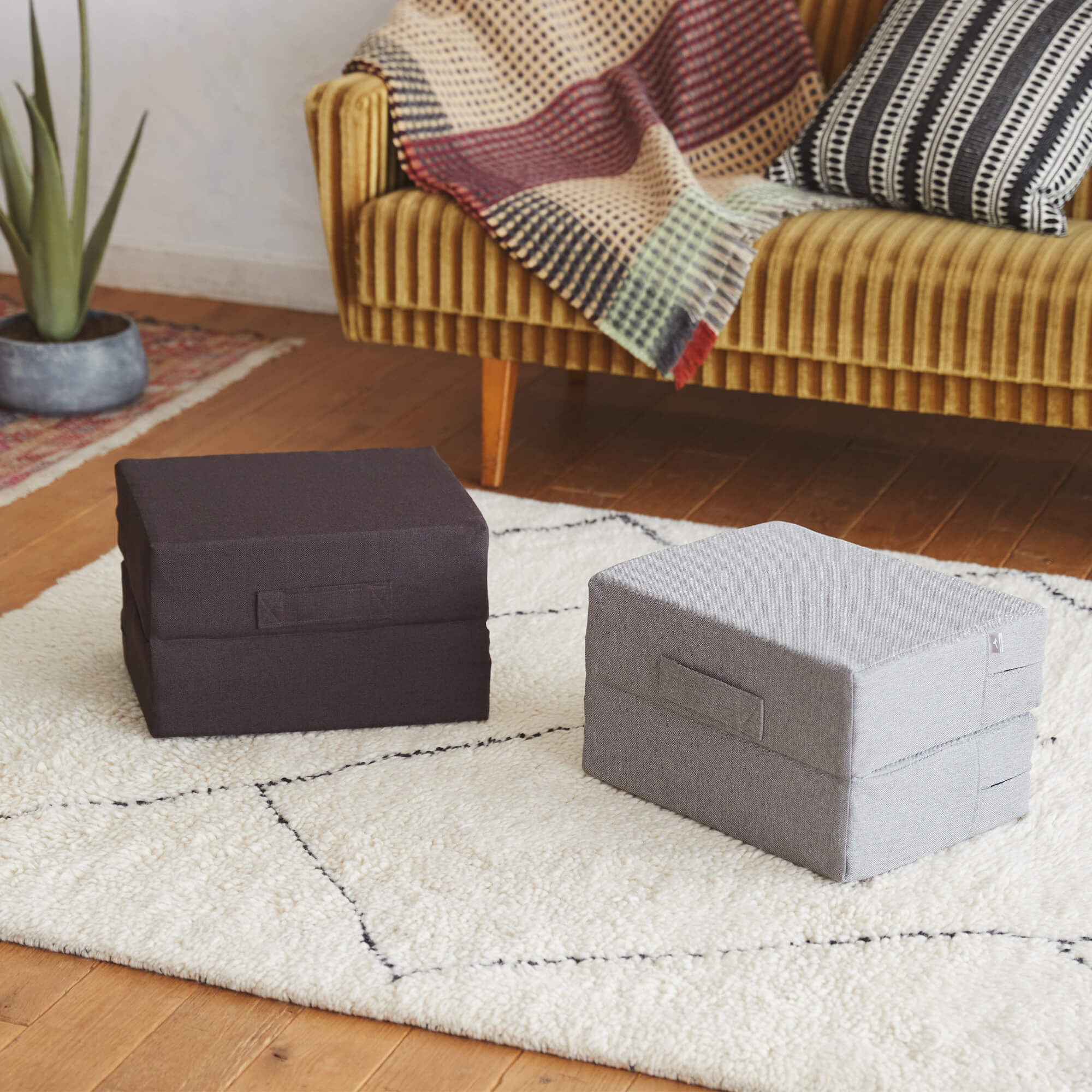 トランポリン ラパン|C3JHI109|エクササイズ|健康・日常生活品|ミズノ