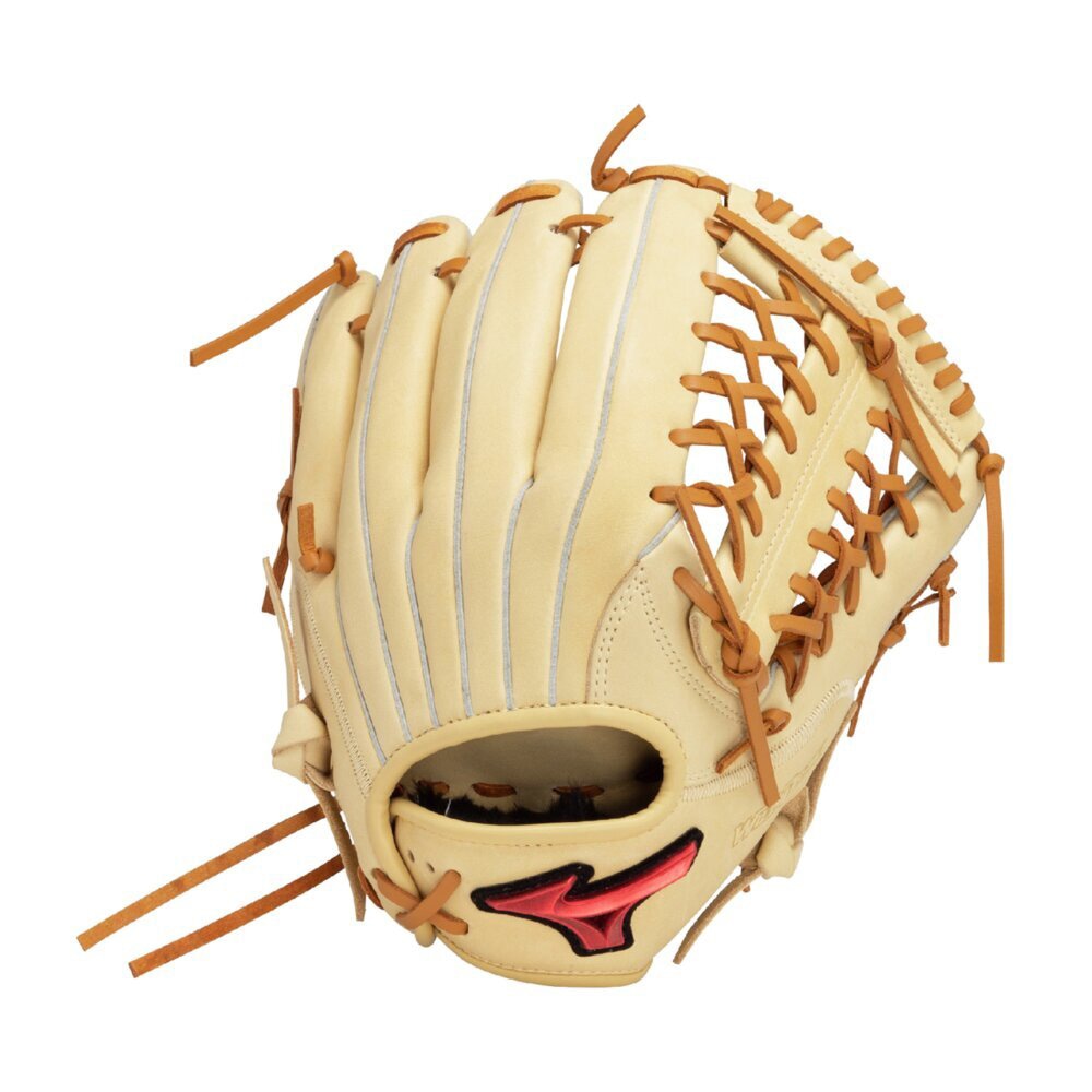 3 希少種 eurychlamys エリキュラミス カリフォルニア輸入 3 希少種