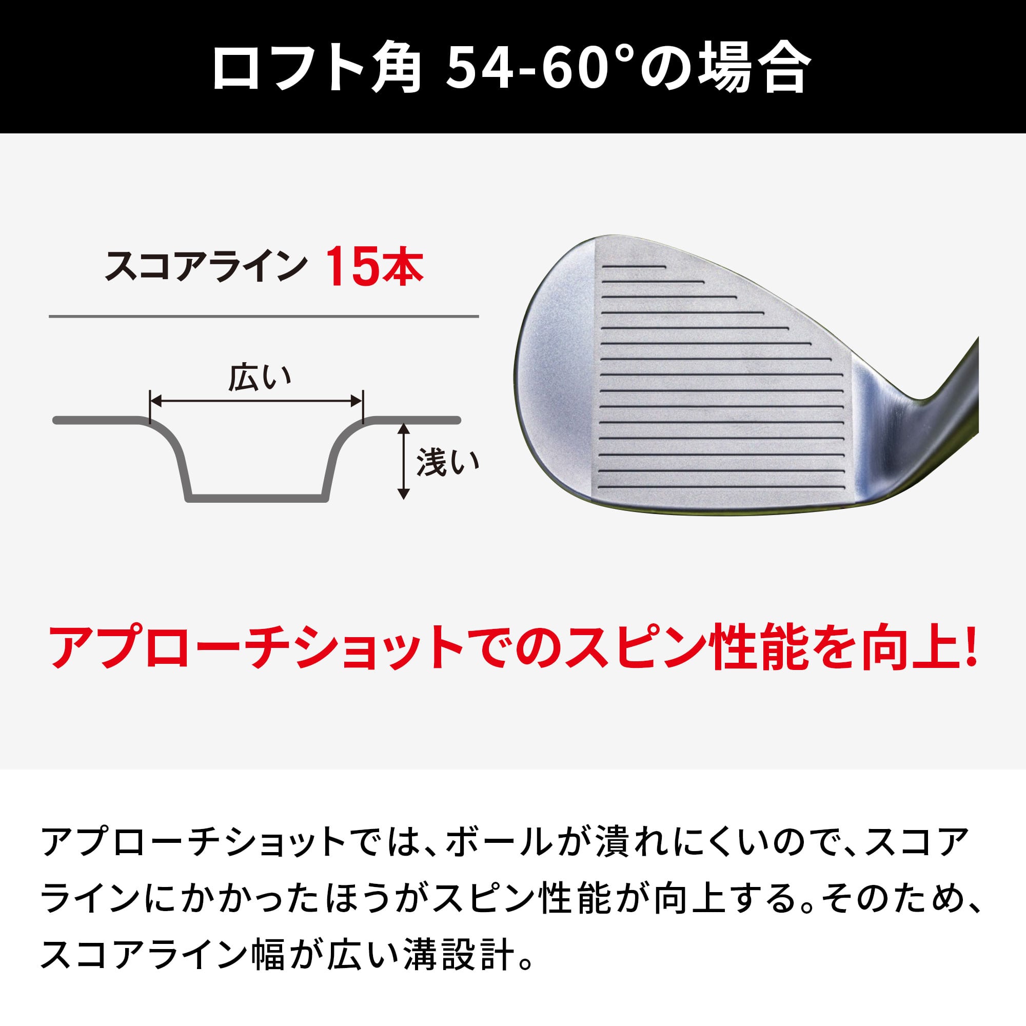 T24ウエッジ(デニムカッパー仕上げ)(Dynamic Gold HT スチールシャフト